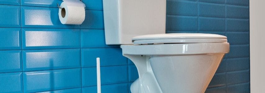 How to Install a Toilet guide cover image