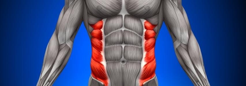 Oblique Exercises: What Are They? guide cover image