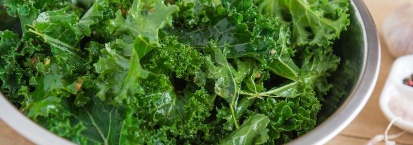 Is Kale Good For You? guide cover image