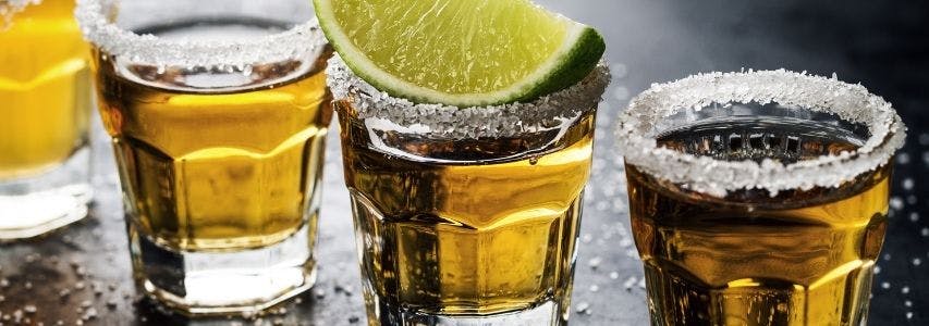 Types of Tequila and What Mixes With Tequila guide cover image